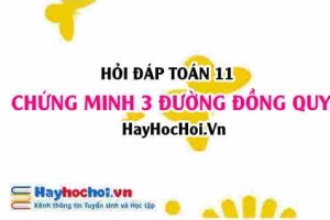 Chứng minh đồng quy (3 đường đồng quy) lớp 11 - Hỏi đáp Toán 11